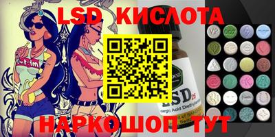 прущие грибы Кандалакша