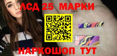 прущие грибы Кандалакша