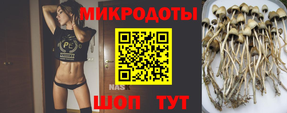 Кохма  Галлюциногенные грибы мухоморы  Вход с VPN 